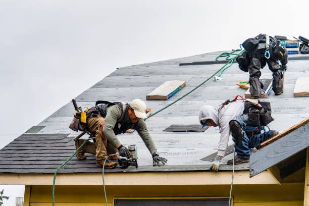 Professional Emergency Roof Repair technician working in Lesage, WV